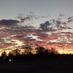 Meet your Posher, Sherry